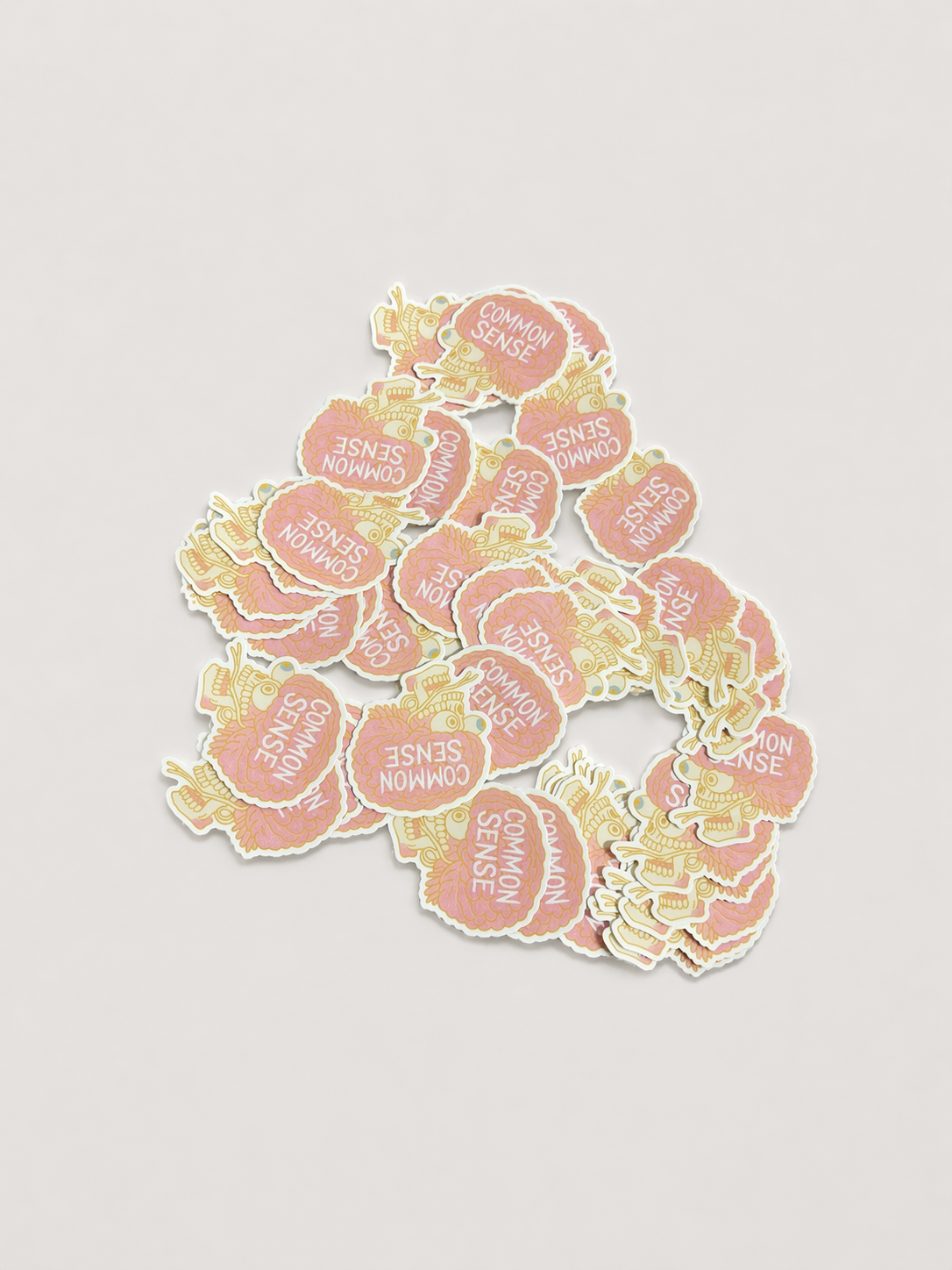 COMMON SENSE STICKER.