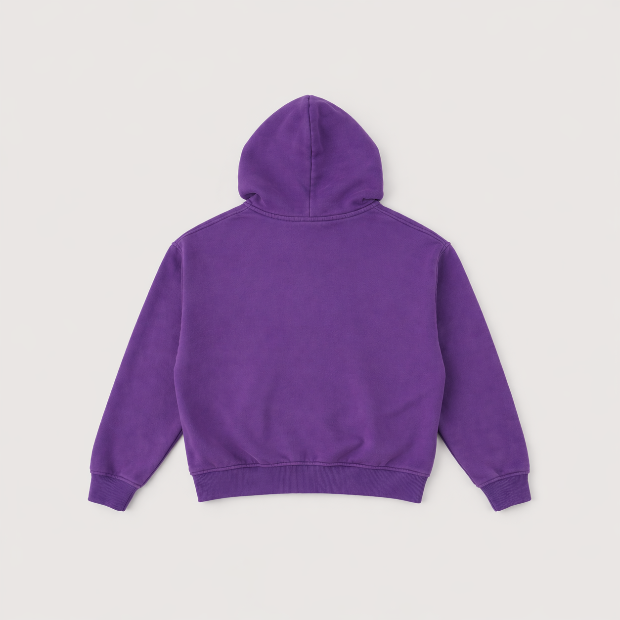 COMMON SENSE BRAINSTORM ZIP UP